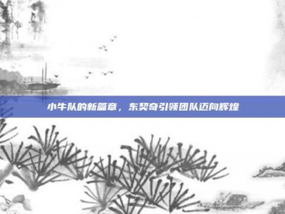 小牛队的新篇章，东契奇引领团队迈向辉煌