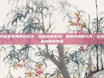 中超赛季票房创纪录，球迷热情不减！激情燃烧的六月，足球盛宴再掀热潮