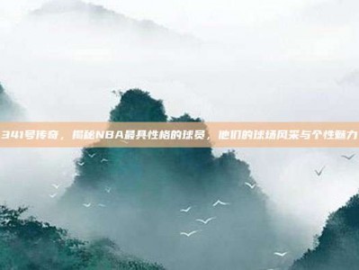 341号传奇，揭秘NBA最具性格的球员，他们的球场风采与个性魅力