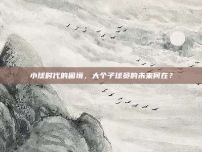 小球时代的困境，大个子球员的未来何在？