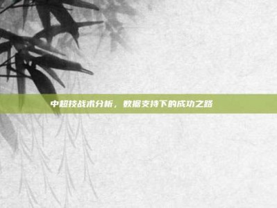 中超技战术分析，数据支持下的成功之路🔍