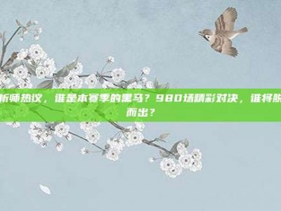 分析师热议，谁是本赛季的黑马？980场精彩对决，谁将脱颖而出？