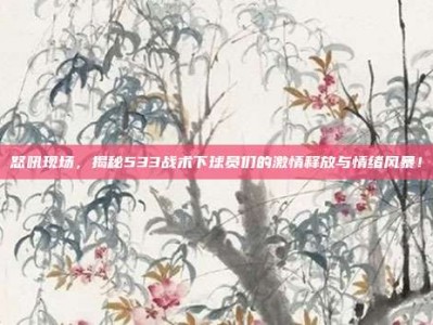 怒吼现场，揭秘533战术下球员们的激情释放与情绪风暴！