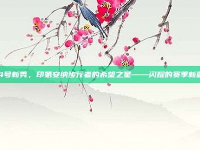 134号新秀，印第安纳步行者的希望之星——闪耀的赛季新篇章