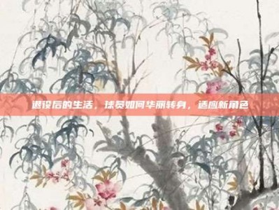 退役后的生活，球员如何华丽转身，适应新角色