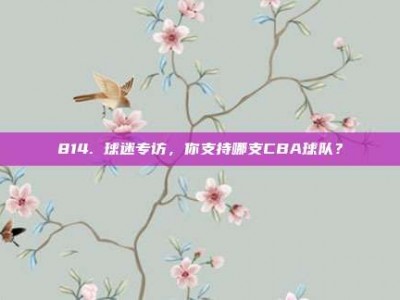 814. 球迷专访，你支持哪支CBA球队？