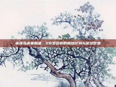 本泽马未来展望，28岁名将的踢球计划与足球梦想