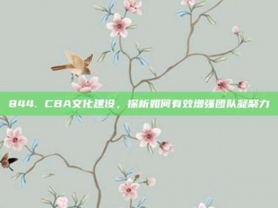 844. CBA文化建设，探析如何有效增强团队凝聚力