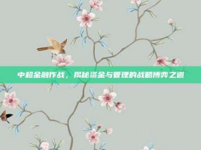 中超金融作战，揭秘资金与管理的战略博弈之道