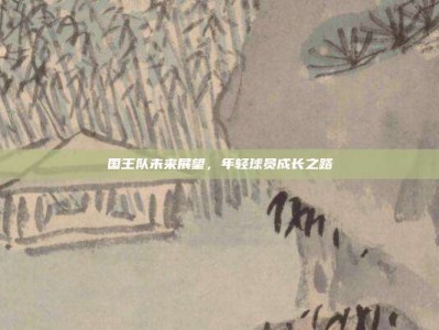 国王队未来展望，年轻球员成长之路