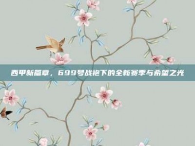 西甲新篇章，699号战袍下的全新赛季与希望之光