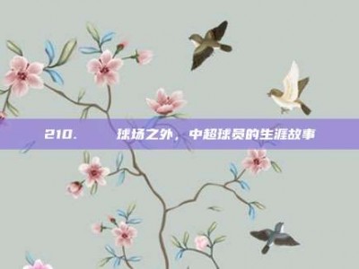 210.👏 球场之外，中超球员的生涯故事