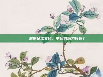 🏅 浓厚足球文化，中超的魅力何在？