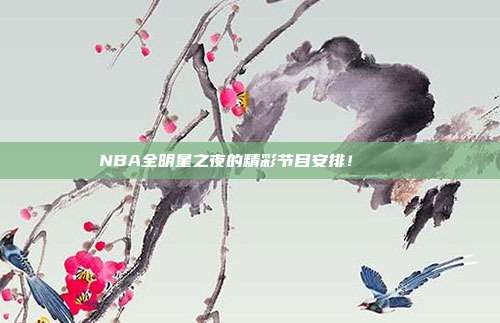 NBA全明星之夜的精彩节目安排！✨🌟