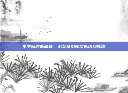 小牛队的新篇章，东契奇引领团队迈向辉煌