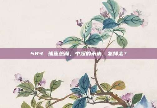 583. 球迷热潮，中超的未来，怎样走？