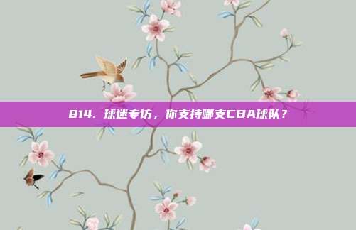 814. 球迷专访，你支持哪支CBA球队？