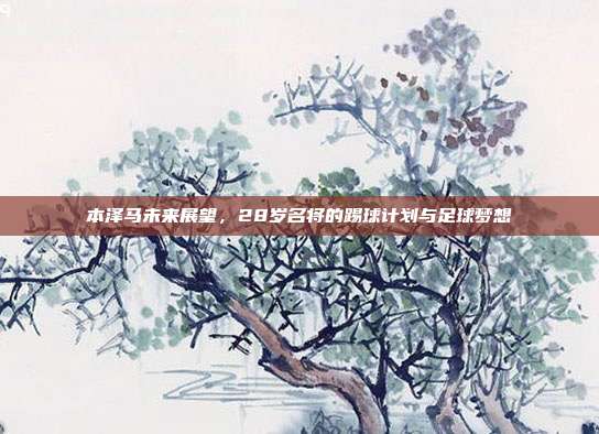 本泽马未来展望，28岁名将的踢球计划与足球梦想